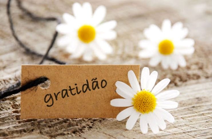 O Poder do Diário da Gratidão. Comece hoje a cultivar a gratidão na sua vida e prepare-se para colher os frutos de uma vida mais plena!