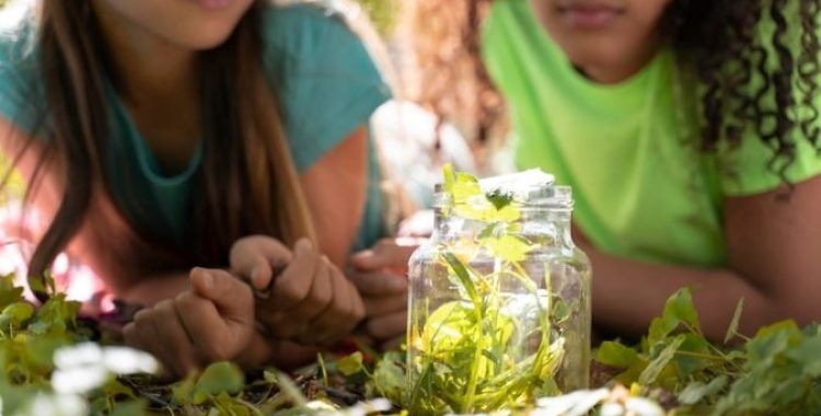 Educação ambiental Educação ambiental