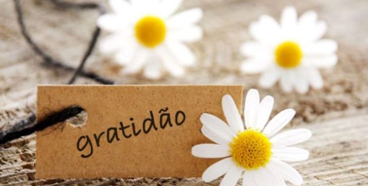 O Poder do Diário da Gratidão. Comece hoje a cultivar a gratidão na sua vida e prepare-se para colher os frutos de uma vida mais plena!