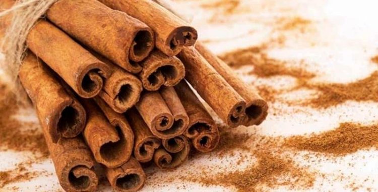 Por Que Polvilhar um Pouco de Canela na Varanda