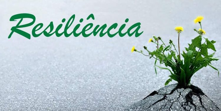 Resiliencia Resiliencia