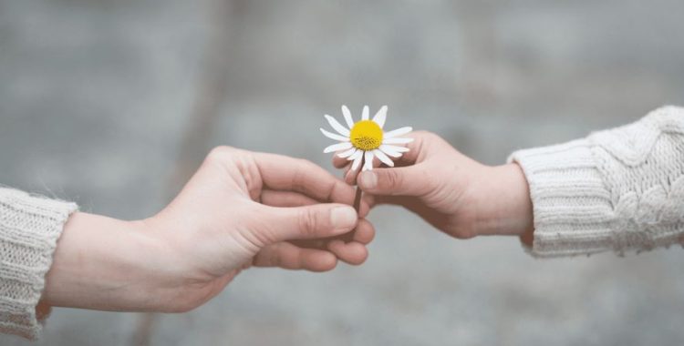 Responsabilidade Afetiva: Pilar de Relações Saudáveis. Praticar esse conceito não significa atender a todas as expectativas alheias...