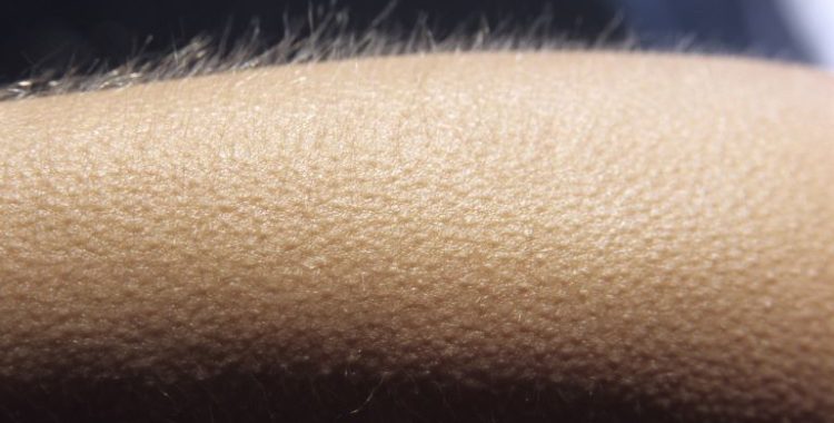 Arrepio: O Significado Espiritual e Científico. Aqui, exploramos os significados por trás do arrepio, pela ciência e mundo espiritual.