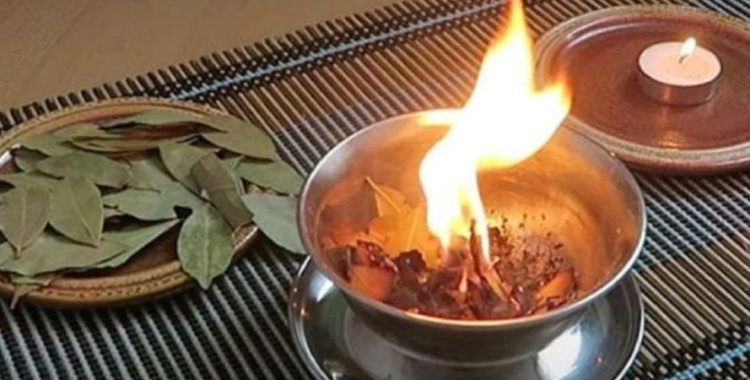 Folha de Louro: Queime e Transforme sua Casa. Descubra os benefícios surpreendentes de queimar folha de louro em casa